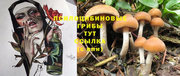 спайс Новозыбков
