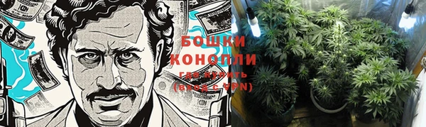 крисы Новокубанск