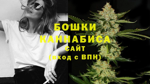 крисы Новокубанск