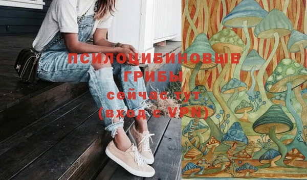 спайс Новозыбков