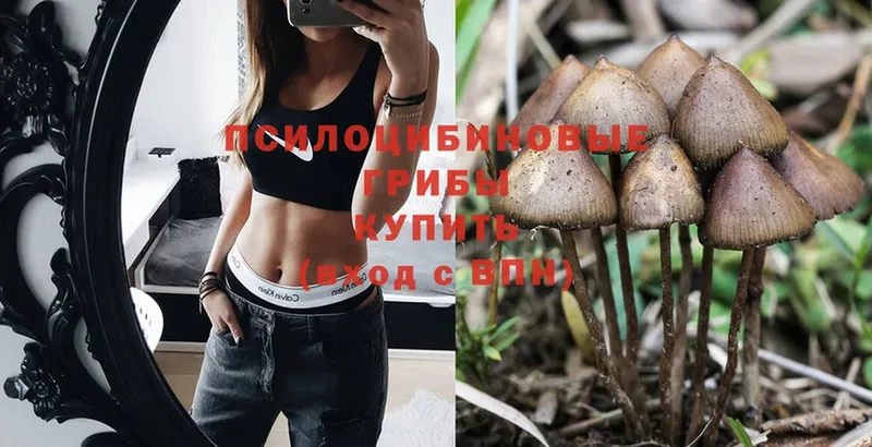 Псилоцибиновые грибы Magic Shrooms  Кукмор 