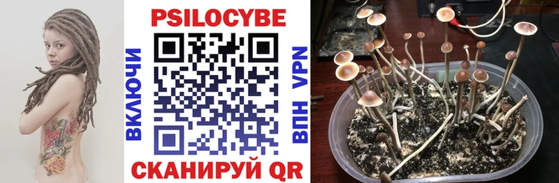 Псилоцибиновые грибы прущие грибы  Кукмор 